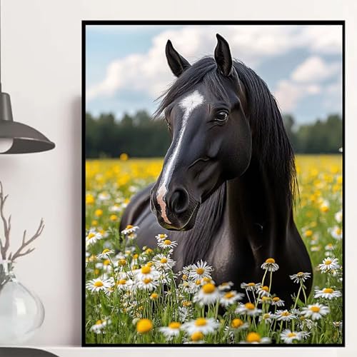 Horse Diamond Painting 30×40cm, Blumen Diamond Painting Erwachsene Anfänger 5D DIY Runder Vollbohrer Diamanten Malerei Mosaik Bastelset Erwachsene für Zimmer Deko, Geschenke für Frauen -hjw2508B4 Horse Diamond Painting 30×40cm, Blumen Diamond Painting Erwachsene Anfänger 5D DIY Runder Vollbohrer Diamanten Malerei Mosaik Bastelset Erwachsene für Zimmer Deko, Geschenke für Frauen -hjw2508B4 von HENJGWEG