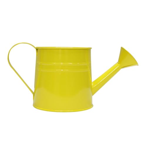 Vintage Gießkanne aus Eisen, Metallbehälter als Blumentöpfe oder Bürodekoration, für drinnen und draußen Vintage Gießkanne aus Eisen, Metallbehälter als Blumentöpfe oder Bürodekoration, für drinnen und draußen von HENYGEN