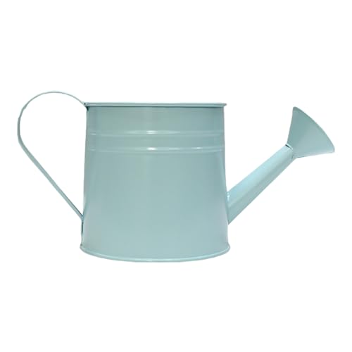Vintage Gießkanne aus Eisen, Metallbehälter als Blumentöpfe oder Bürodekoration, für drinnen und draußen Vintage Gießkanne aus Eisen, Metallbehälter als Blumentöpfe oder Bürodekoration, für drinnen und draußen von HENYGEN