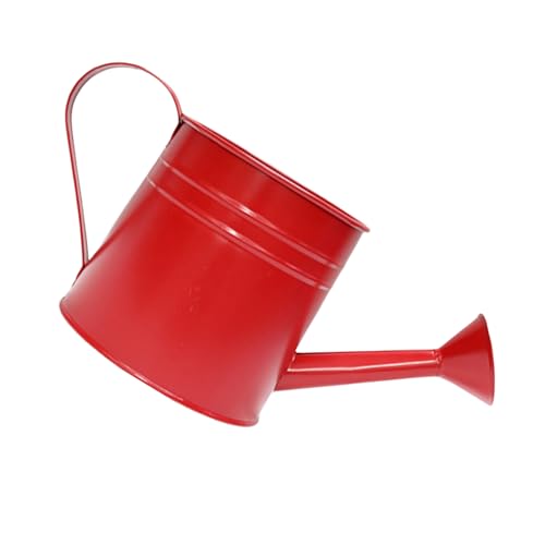 Vintage Gießkanne aus Eisen, Metallbehälter als Blumentöpfe oder Bürodekoration, für drinnen und draußen Vintage Gießkanne aus Eisen, Metallbehälter als Blumentöpfe oder Bürodekoration, für drinnen und draußen von HENYGEN