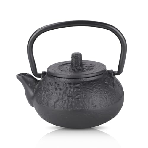 50ml Mini Cast Iron Teapot, Japanese Style Tetsubin Teapot Kettle Gongfu Tea Pet for Tea Lovers von HERCHR
