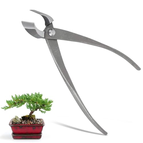 Knospenzange Für Bonsai Edelstahl, Astschere Mit Astschere, Konkaver Schneider, Bonsai-Werkzeuge 21.3cm, Multifunktionale Konkavzange Astschere Cutter Garten Bonsai Für Terrasse, Rasen, Garten von HERCHR