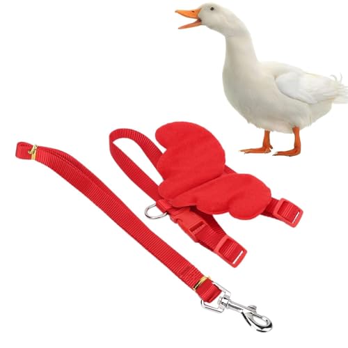 Entengeschirr, Kleintier Gehgeschirr Verstellbares Hühnergeschirr Hühnerweste Atmungsaktives Nylon Outdoor Training Zugseil Traktionsseil Brustgurt Wandergeschirr Leine für Ente Huhn und Gans Entengeschirr, Kleintier Gehgeschirr Verstellbares Hühnergeschirr Hühnerweste Atmungsaktives Nylon Outdoor Training Zugseil Traktionsseil Brustgurt Wandergeschirr Leine für Ente Huhn und Gans von HERCHR