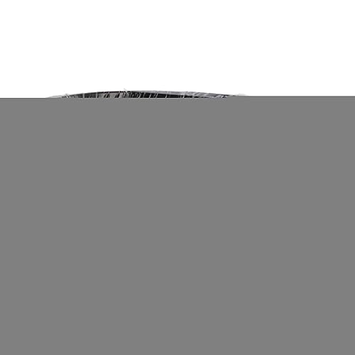 HERCHR Bonsai-Trainingsdraht, 500 G, Schwarzes Aluminium, Biegbare Baum-Trainingsdrähte, Langlebige Pflanzenkäfige, Gartendrehbinder Für Bonsai-Pflanzen Im Innen- Und Außenbereich(1.0mm) von HERCHR