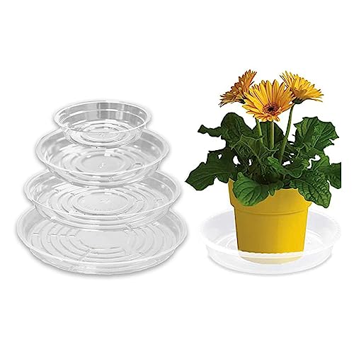 HERCHR Pflanzen-Untertasse-Tablett, 20 Stück Blumentopf 6 Zoll 8 Zoll 10 Zoll 12 Zoll Transparente Tröpfchen-Tabletts Kunststoff-Abfluss Platte für den Innen-Außenbereich HERCHR Pflanzen-Untertasse-Tablett, 20 Stück Blumentopf 6 Zoll 8 Zoll 10 Zoll 12 Zoll Transparente Tröpfchen-Tabletts Kunststoff-Abfluss Platte für den Innen-Außenbereich von HERCHR