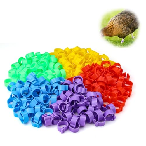 250 Stück Hühnerringe, HERKINDNESS 16mm Geflügel Fußringe, Klar und Leicht Verständlich Geflügelidentifikationsringe, Geflügelringe für Hühner, Gänse, Enten und Bauernhof von HERKINDNESS