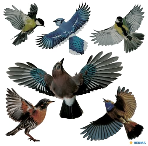 HERMA 15539 Warnvögel Vogel Aufkleber Set für Fensterscheiben groß, 6 Stück, 30 x 30 cm, selbstklebend, ablösbar und wiederverwendbar, Vogelschutz für Fenster aus wetterfester Hart-Folie, bunt von HERMA