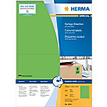 HERMA Farbige Multifunktionsetiketten 4569 Grün Rechteckig 199 x 143 mm 100 Blatt à 2 Etiketten von HERMA