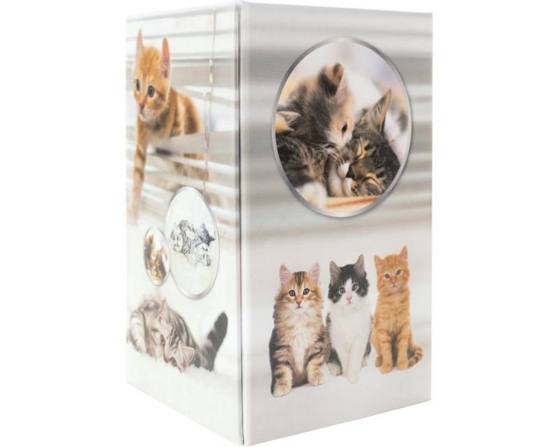 HERMA Tischaufsatz Stifteköcher Karton Katzen von HERMA