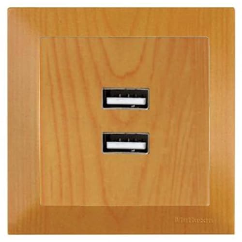 Set aus 2 fach USB Ladesteckdose/Steckdose/Aufladedose/Netzteil mit Rahmen in Holz Optik Eiche für Unterputz, Einbau, Wandeinbau aus der CANDELA Schalterserie Set aus 2 fach USB Ladesteckdose/Steckdose/Aufladedose/Netzteil mit Rahmen in Holz Optik Eiche für Unterputz, Einbau, Wandeinbau aus der CANDELA Schalterserie von HERRY24 Your Project Partner