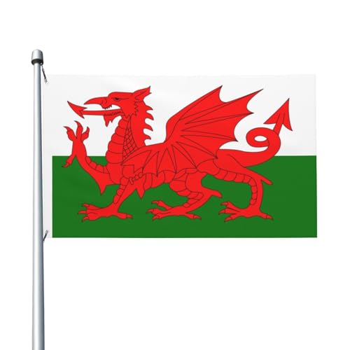 Flagge von Wales, 90 x 150 cm, doppelseitig, robustes Banner für Außen- und Gartendekoration, doppelseitiger Druck, einfach zu installieren Flagge von Wales, 90 x 150 cm, doppelseitig, robustes Banner für Außen- und Gartendekoration, doppelseitiger Druck, einfach zu installieren von HERTqwop