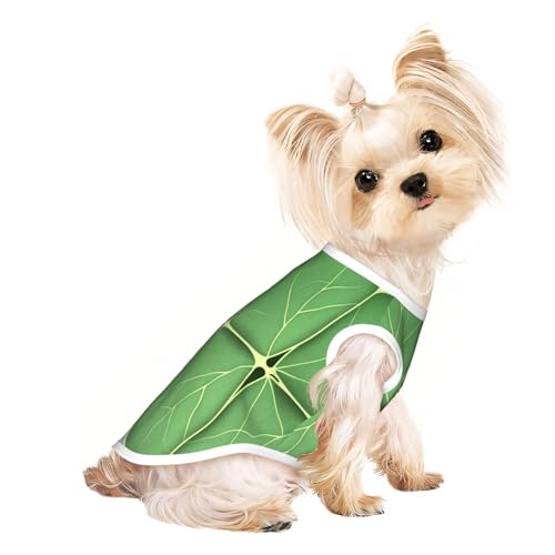 Hundeshirt für kleine Haustiere, mit Blattstruktur, weiche und atmungsaktive Katzen- und Hundekleidung, geeignet für kleine Haustiere von HERTqwop