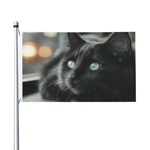 Lonely Black Cat doppelseitige Flagge, 90 x 152 cm, robustes Banner für Außen- und Gartendekoration, doppelseitiger Druck, einfach zu installieren Lonely Black Cat doppelseitige Flagge, 90 x 152 cm, robustes Banner für Außen- und Gartendekoration, doppelseitiger Druck, einfach zu installieren von HERTqwop