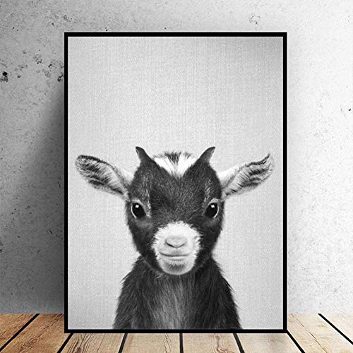 HERW Leinwandbild Schwarz Weiß Baby Ziege Leinwand Malerei Kunstdruck Poster Bild Wand Modern Minimalistisches Schlafzimmer Wohnzimmer Dekoration Nein Ohne Rahmen Hauptdekoration 20X28 Zoll von HERW