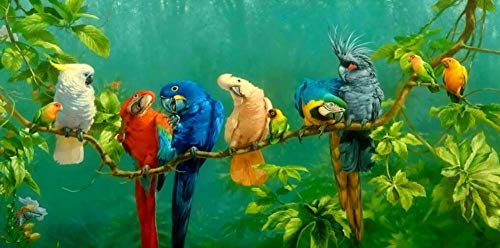 HERWS Leinwand-Kunstdruck Bunte Papageien Vogel Auf Zweigen Ölgemälde Auf Leinwand Poster Bild Auf Wandmalerei Für Wohnzimmer Ation Wohnzimmer Schlafzimmer Küche Dekoration von HERWS