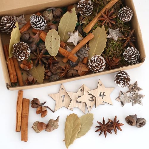 HERZONE Adventskranz Deko, Weihnachtsdeko Zum Basteln, Weihnachtsdeko Adventskranz mit zapfen Orangenscheiben Zimtschnecken Sternanis Birke Stern, moos (B(mit Gelbgrün Moos)) von HERZONE