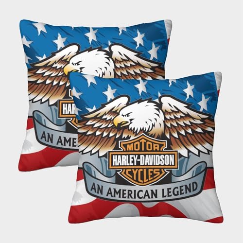 HESHS Harley_David_Son Kissenbezug 45x45cm 2er Set Outdoor Kissen Dekokissen Leinen Kissenhülle Kissenbezüge Moto Kissenhüllen Für Sofa Wohnzimmer Zierkissen von HESHS
