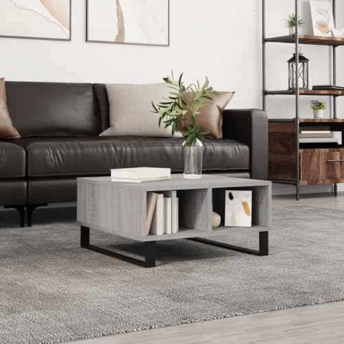 HETFTJN Couchtisch Grau Sonoma 60x60x30 cm Holzwerkstoff mit Eisen-Gestell – Robuster Beistelltisch mit 4 Fächern für Wohnzimmer, Couch & Schlafzimmer von HETFTJN