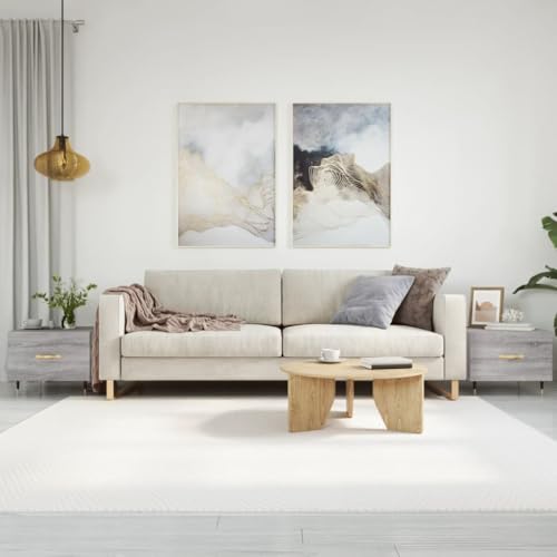 HETFTJN Couchtisch Set 2 STK. Grau Sonoma 50x50x40 cm aus Holzwerkstoff & Eisen - Stilvoller Beistelltisch mit Schublade für Wohnzimmer, Couch & Flur von HETFTJN