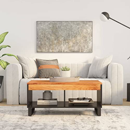 HETFTJN Couchtisch aus Massivholz Akazie 90x50x40 cm mit Eisen-Gestell - Robuster Wohnzimmertisch mit Stauraum für Wohnzimmer, Couch & Flur von HETFTJN