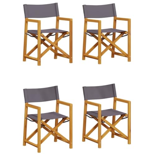HETFTJN Outdoor Stühle Barhocker Camping Stuhl Gartenmöbel - Klappbare Gartenstühle 4 STK. Dunkelgrau Stoff für Outdoor Garten Campingplatz Pool von HETFTJN