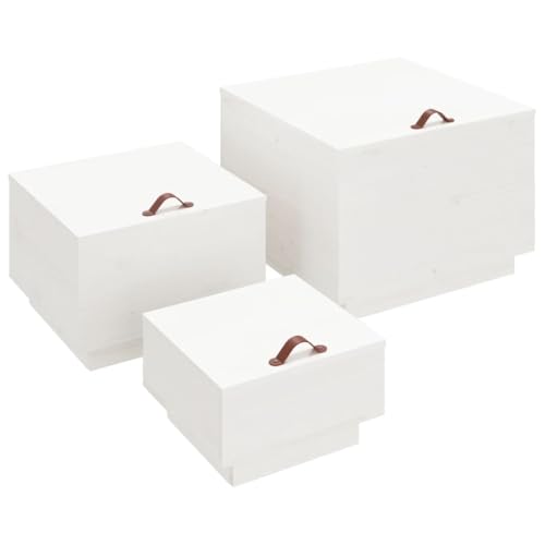 HETFTJN Vorratsschrank Küche Schrank Organizer Apothekerschrank Werkstattschrank - Aufbewahrungsboxen mit Deckeln 3 STK. Weiß Massivholz Kiefer für Werkstatt Outdoor Flur Garten HETFTJN Vorratsschrank Küche Schrank Organizer Apothekerschrank Werkstattschrank - Aufbewahrungsboxen mit Deckeln 3 STK. Weiß Massivholz Kiefer für Werkstatt Outdoor Flur Garten von HETFTJN