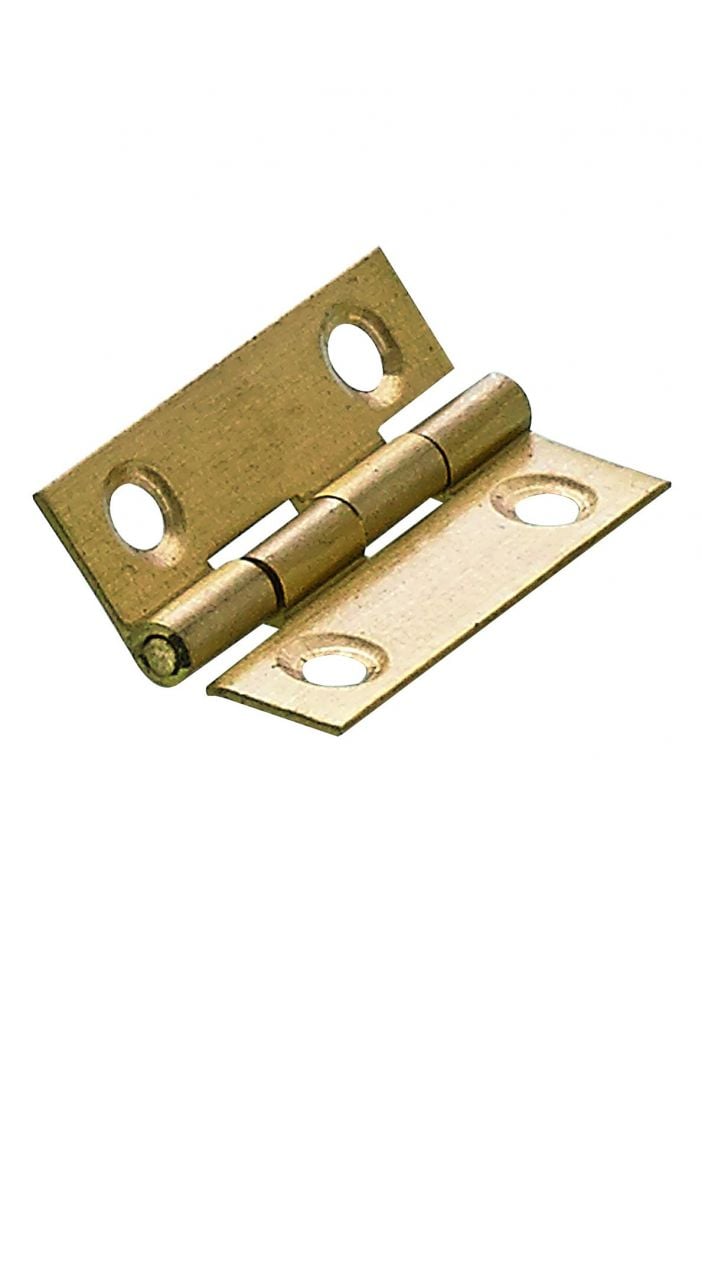 Hettich Schmales Scharnier Messing, matt, 25 x 38 mm, von HETTICH
