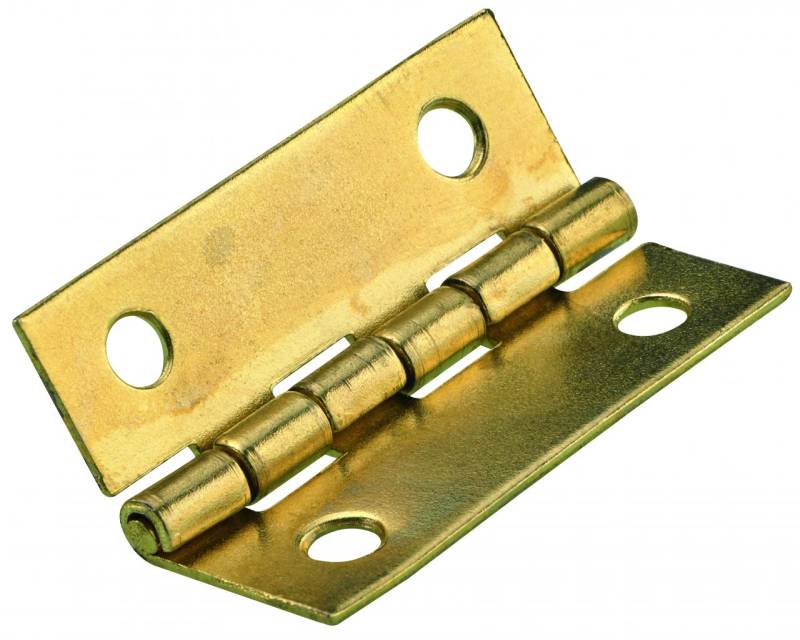 Hettich Schmales Scharnier Stahl, vermessingt, 30 x 20 mm von HETTICH