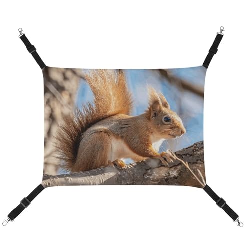 HETVBNS Eichhörnchen auf Ast Haustierhängematte für Katzen & Hunde, weiche atmungsaktive Canvas-Hängematte mit verstellbaren Riemen, bequemes und langlebiges Hängebett für kleine bis mittelgroße von HETVBNS