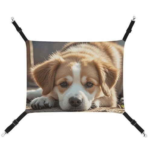 HETVBNS Lazy Dog Puppy Pet Hängematte für Katzen & Hunde, weiche atmungsaktive Canvas-Hängematte mit verstellbaren Riemen, bequemes und langlebiges Hängebett für kleine bis mittelgroße Haustiere von HETVBNS