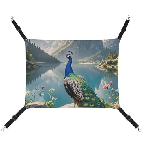 HETVBNS Peacock Haustierhängematte für Katzen & Hunde, weiche atmungsaktive Canvas-Hängematte mit verstellbaren Riemen, bequemes und langlebiges Hängebett für kleine bis mittelgroße Haustiere von HETVBNS