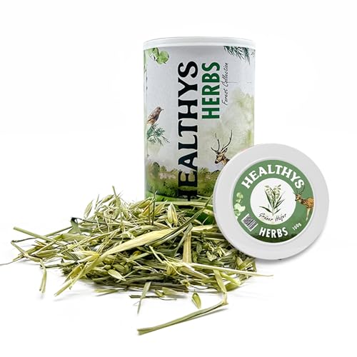 HEULAND® Healthys - grüner Hafer 50g - hochwertiges Ergänzungsfutter für Kaninchen, Meerschweinchen, Hamster, Nager - artgerechtes Futter mit vielen Vitaminen & Nährstoffen. (Dose) von HEULAND