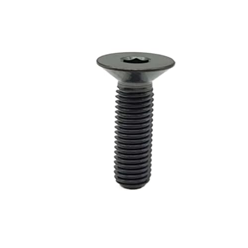 5-10 STÜCK Titanschraube DIN7991 M3 M4 M5 M6 Regenbogen bunt schwarz gold Titan TA2 Gr2 flache Sechskant-Senkkopfschraube(Black,30mm,M4 5PCS) von HEXHUASR