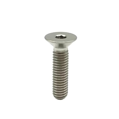 5-10 STÜCK Titanschraube DIN7991 M3 M4 M5 M6 Regenbogen bunt schwarz gold Titan TA2 Gr2 flache Sechskant-Senkkopfschraube(Titanium gray,20mm,M4 5PCS) von HEXHUASR