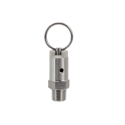 HEXHUASR Überdruckventil (PRV) mit 1/4 Zoll Außengewinde NPT Edelstahl 304 Homebrew Kegging Teile DIY Keg Komponente(Color:100 psi) von HEXHUASR