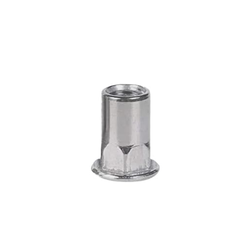 M3 M4 M5 M6 M8 M10 M12 Edelstahl/Aluminium/Verzinkt/Flacher Senkkopf Gewindeniet Einsatzmutter Kappe Nietmutterneinsatz(Bronze,M6) von HEXHUASR
