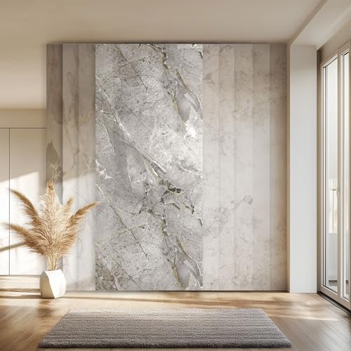 HEXIM Wandpaneel XXL 280x122 cm in Granit-/Marmoroptik, Sparpaket (3-10 Stück) - ideal als Duschrückwand, Küchenrückwand, Spritzschutz, Betonoptik modern (10 Paneele / 34,16 m² - 8090A) von HEXIM