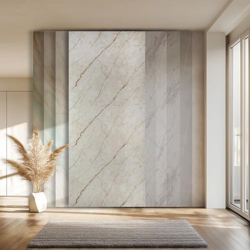 HEXIM Wandpaneel XXL 280x122 cm in Granit-/Marmoroptik, Sparpaket (3-10 Stück) - ideal als Duschrückwand, Küchenrückwand, Spritzschutz, Küchenverkleidung langlebig (7 Paneele / 23,91 m² - 8088) von HEXIM