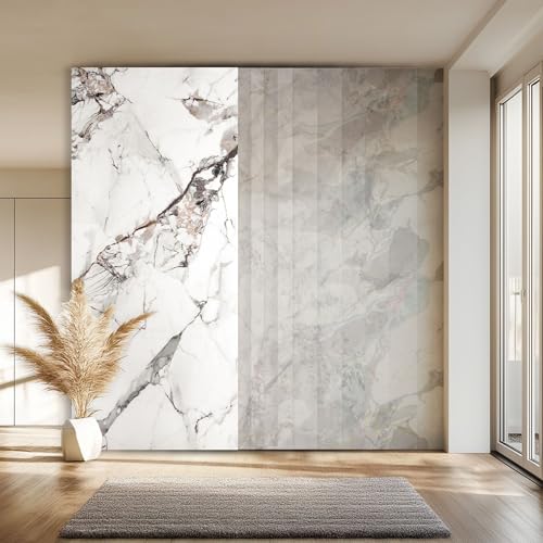 HEXIM Wandpaneel XXL 280x122 cm in Granit-/Marmoroptik, Sparpaket (3-10 Stück) - ideal als Duschrückwand, Küchenrückwand, Spritzschutz, Verkleidungspaneel Kunststoff (6 Paneele / 20,5 m² - 2012C) von HEXIM