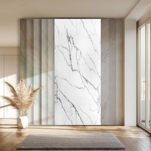 HEXIM XXL Platten 280x122 cm in Granit-/Marmoroptik, Sparpaket (3-10 Stück) - ideal als Duschrückwand, Küchenrückwand, Spritzschutz, Dekorpaneel pflegeleicht (8 Paneele / 27,33 m² - 2001) von HEXIM