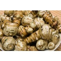 Topinambur 2 Kg Knollen Frisch Helle Sorte Bioqualität von HEXOFITKON
