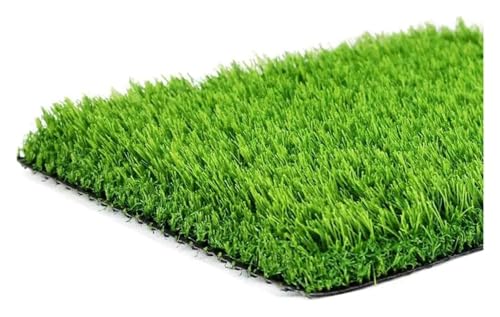 HEYDGBBZ Künstlicher gefälschter Grasteppich 30mm Außenbalkon Rasenmatte Kunststoff Simulation Rasen for Dach(30mm) von HEYDGBBZ