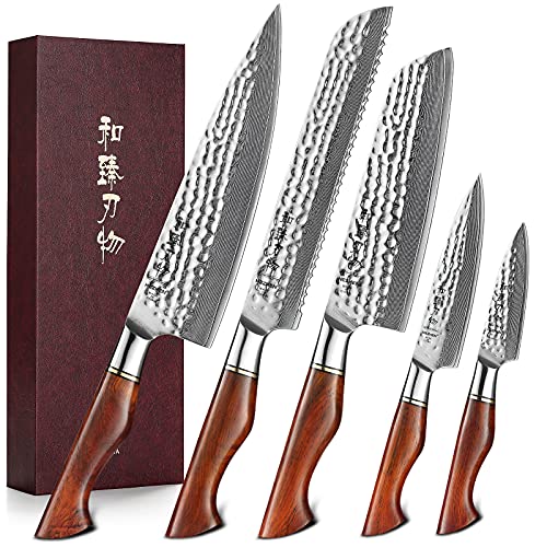 HEZHEN Damastmesser Set, 73 Lagen Damas Stahl Küchenmesser, Profi Kochmesser Set, Santoku Brotmesser von HEZHEN