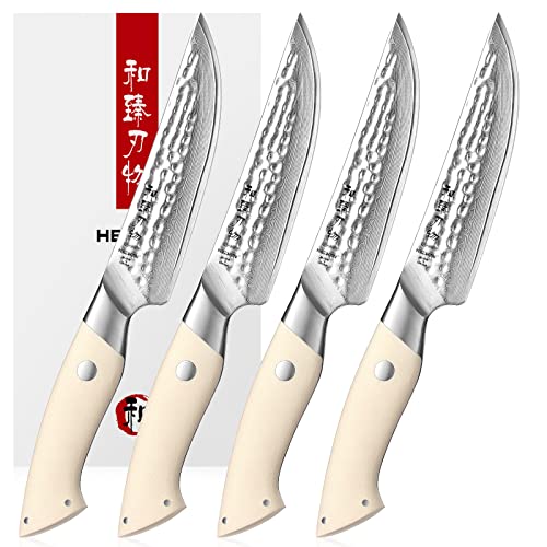 HEZHEN Steakmesser Set 4PCS, 67 Lagen Damast Küchenmesser Gehämmert Küchenmesser, Tafelmesser Elfenbeinweißer G10 Griff von HEZHEN