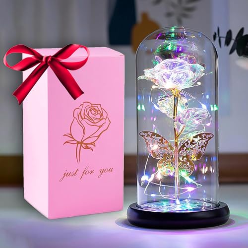 HFHungkeong Muttertag Rosen Geschenk Galaxie ewige Rose für Mutter, Ehefrau, Freundin Jahrestag Geburtstag Geschenk Glaskuppel Regenbogen Rose LED Lichtleiste Schmetterling Kristallblume Rose von HFHungkeong