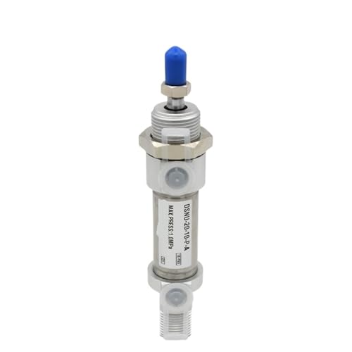 DSNU10 runder Mini-Pneumatikzylinder aus Edelstahl DSNU-10-20-PA DSNU10-30-PA DSNU10-50-PA(DSNU-10-30-P-A) von HFIGNIAHQ