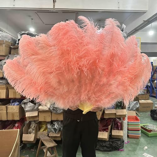 1/2 Stück Champagnerfarbener Fächer aus Straußenfedern für 13 Knochen, großer Handfächer, 100 cm 130 cm, Basteln, Karneval, Hochzeit, Bühne, Tanzdekor, Garnelenrosa 1/2 Stück Champagnerfarbener Fächer aus Straußenfedern für 13 Knochen, großer Handfächer, 100 cm 130 cm, Basteln, Karneval, Hochzeit, Bühne, Tanzdekor, Garnelenrosa von HFNCE