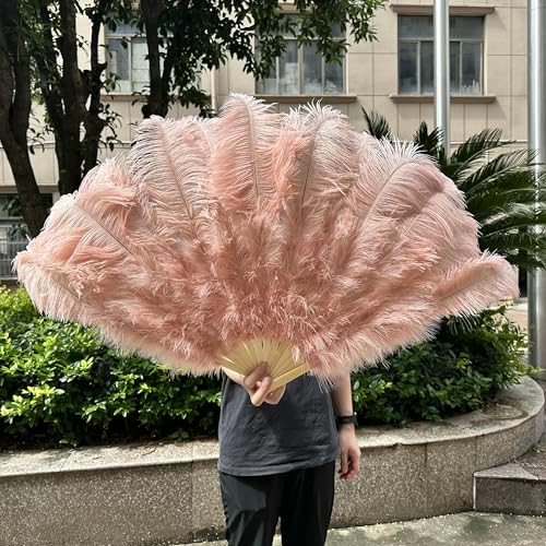 1/2 Stück Champagnerfarbener Fächer aus Straußenfedern für 13 Knochen, großer Handfächer, 100 cm 130 cm, Basteln, Karneval, Hochzeit, Bühne, Tanzdekor, Lederrosa, 1 1/2 Stück Champagnerfarbener Fächer aus Straußenfedern für 13 Knochen, großer Handfächer, 100 cm 130 cm, Basteln, Karneval, Hochzeit, Bühne, Tanzdekor, Lederrosa, 1 von HFNCE
