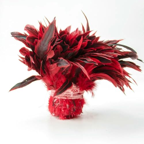 1 Bündel/1000 Stück natürliche Hahnenfedern, 12,7–17,8 cm, für Kleidung, Schmuck, Basteln, Traumfänger, Dekoration, Karnevalszubehör, Rot, 1 Bündel 1 Bündel/1000 Stück natürliche Hahnenfedern, 12,7–17,8 cm, für Kleidung, Schmuck, Basteln, Traumfänger, Dekoration, Karnevalszubehör, Rot, 1 Bündel von HFNCE