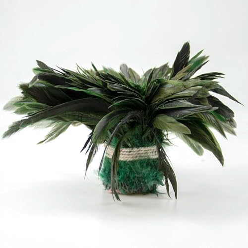 1 Bündel/1000 Stück natürliche Hahnenfedern, 12,7–17,8 cm, für Kleidung, Schmuck, Basteln, Traumfänger, Dekoration, Karnevalszubehör, grasgrün, 1 Bündel 1 Bündel/1000 Stück natürliche Hahnenfedern, 12,7–17,8 cm, für Kleidung, Schmuck, Basteln, Traumfänger, Dekoration, Karnevalszubehör, grasgrün, 1 Bündel von HFNCE